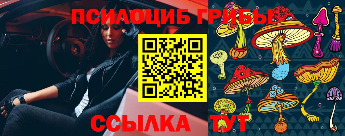Кашира  Псилоцибиновые грибы MAGIC MUSHROOMS  Вход с VPN 