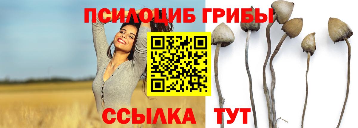 Галлюциногенные грибы мухоморы Кашира